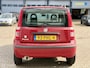 Fiat Panda 1.2 Celebration | Distr Riem VV | APK Nieuw | NAP