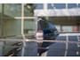 Honda ZR-V 2.0i e:HEV Advance - FULL HYBRID - PANORAMA DAK - ALL WEATHERS