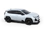 Citroën C5 Aircross Plus | Extra getinte achterste zijruiten en achterruit