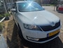 Skoda Rapid Spaceback 1.2 TSI Greentech Elegance Businessline Pro,trekhaak,navi