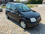 Fiat Panda 1.2 Young