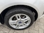 Ford Fiesta 1.0 EcoBoost Titanium,5drs,Airco,Cruise,Led,P.sensoren