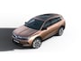 Opel Grandland Business Edition | Achteruitrijcamera | Draadloze telefoonlader (Inductie) | Elektronische klimaatregeling met twee zones
