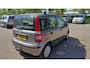 Fiat Panda 1.2 Edizione Cool