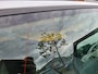 Volvo V50 2.5 T5 Kinetic 220pk 6-Bak Xenon Clima! Bj:2004