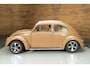 Volkswagen Kever Ovaal Ragtop | 1957