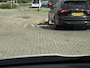 Toyota Yaris 1.5 Hybrid Executive Jbl Panodak Parelmoer Acamera Stoelverwarming Navi Klima Lmv Nap