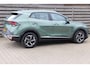 Kia Sportage 1.6 T-GDi Hybrid DynamicLine / All Season / 1650 trekgewicht