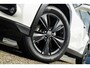 Lexus UX 250h Business Line | Groot Scherm | Camera
