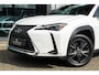 Lexus UX 250h Business Line | Groot Scherm | Camera