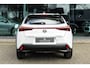Lexus UX 250h Business Line | Groot Scherm | Camera