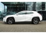 Lexus UX 250h Business Line | Groot Scherm | Camera