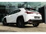 Lexus UX 250h Business Line | Groot Scherm | Camera