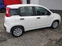 Fiat Panda 0.9 TwinAir Pop automaat