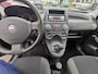 Fiat Panda 1.1 Actual | APK bij aflevering