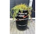 BMW X5 X Drive 35d ( grijs kenteken )