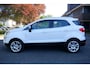 Ford EcoSport 1.0 EcoBoost 125pk AUT Titanium-CAMERA-TREKHAAK -BOVAG