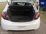 Peugeot 208 1.2 PureTech Blue Lion | NAV | LM Velgen | 5 Deurs