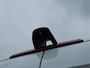 Mercedes-Benz Sprinter 317 L2H2 Mbux10 LED