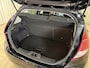 Ford Fiesta 1.0 EcoBoost Titanium 101 PK Bluetooth / Stoelverwarming / ECC Clima / PDC V&A / 15'' LMV