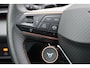 CUPRA Terramar 1.5 TSI e-Hybrid Business 204pk DSG6