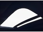 Volkswagen Golf 1.4 eHybrid 245PK GTE Pano IQ Light Camera