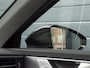 Audi A6 Avant 55 TFSI e quattro S-Line Pano RS-Stoelen 360 Sfeer BTW