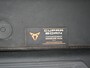 CUPRA Born Adrenaline 62 kWh / Adap. Cruise / Kuipstoelen / 19 Inch