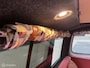 Volkswagen Camper T7 buscamper 2026 Nevada elektrisch