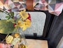 Volkswagen Camper T6 2017 buscamper Nevada Two-tone!