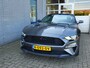 Ford Mustang Fastback 2.3 EcoBoost Inclusief Afleveringskosten