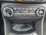 Ford Fiesta 1.0 Ecoboost 100 pk Active Camera Voorruitverwarming