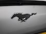 Ford Mustang Mach-E AWD 75 kWh Aut. | B&O Soundsystem | Leder | elek. stoelen | Navigatie | Winterpack | Apple carplay