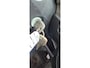 Daihatsu Trevis 1.0 5Drs Elec pakket, LM Velgen Zeer zuinig! Momo