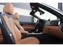 BMW 4-Serie Cabrio 420i Luxury Line | Trekhaak | Nekverwarming |