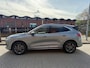 Ford Kuga 2.5 PHEV Vignale_PANORAMADAK_LEER_NETTE AUTO
