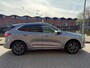 Ford Kuga 2.5 PHEV Vignale_PANORAMADAK_LEER_NETTE AUTO