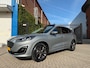 Ford Kuga 2.5 PHEV Vignale_PANORAMADAK_LEER_NETTE AUTO