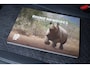 Suzuki Vitara 1.4 BoosterJet Style Rhino Edition Trekhaak | Treeplanken