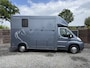 Peugeot Boxer | HORSETRUCK | OPBOUW 2023 | STALLION 3XL | 2013 | HENGST | 150PK | 105.000KM | MANUEL | L3 | 3-SEAT | LUXE | BELGISCH KENTEKEN