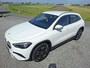 Mercedes-Benz GLA 250 e Business Solution NL-auto | rijklaarprijs !!