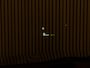 Land Rover Defender 110 2.0 P300e 110 X-Dynamic HSE MY26 | PANO | HUD | 22" | MERIDIAN