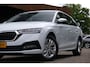 Skoda Octavia Combi 1.5 e-TSI Business Edition|Rijklaar!|Trekhaak|Sfeer|Carplay|Schakelpaddles|Rijstrooksensor