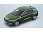 Ford Kuga 2.5 PHEV Titanium FORD VOORDEEL €4000 | Cruise Control | Camera's | Carplay | Climate | Winterpack