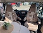 Pössl GlobeCar Cruise CarPlay Euro 6