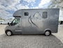 Renault Master | HORSETRUCK | HTI | STALLION 3XL | 2017 | HENGST | 70.835KM | MANUEEL | 3-SEAT | 130PK | L3 | BELGISCH KENTEKEN