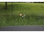 Audi Q8 60 TFSI e quattro Pro Line S Competition HD Matrix/Pano/4wiel/B&O/360/RS-stoel/Luchtvering/Keyless/Head-up/23"/Trekhaak