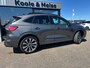 Ford Kuga 2.5 PHEV e-CVT 225pk ST-Line X ,20inch Velgen, Panodak , Trekhaak , Winterpack , Adaptive cc , Park Assist
