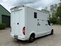 Renault Master Roelofsen Paardenwagen 2-Paards Automaat 170PK