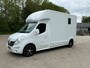 Renault Master Roelofsen Paardenwagen 2-Paards Automaat 170PK